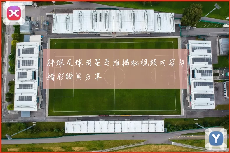 胖球足球明星是谁揭秘视频内容与精彩瞬间分享