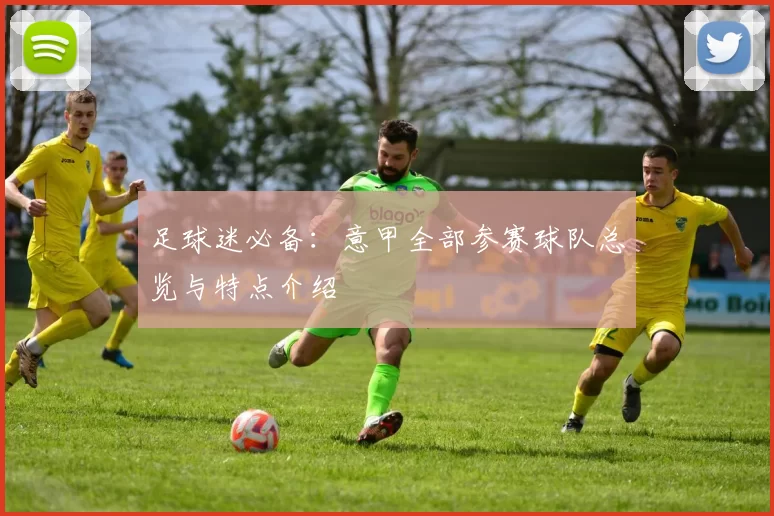 足球迷必备：意甲全部参赛球队总览与特点介绍