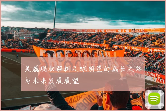 吴磊现状解析足球明星的成长之路与未来发展展望