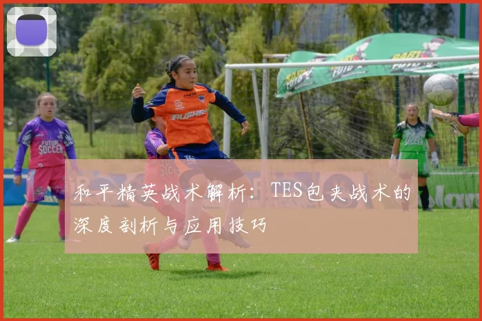 和平精英战术解析：TES包夹战术的深度剖析与应用技巧