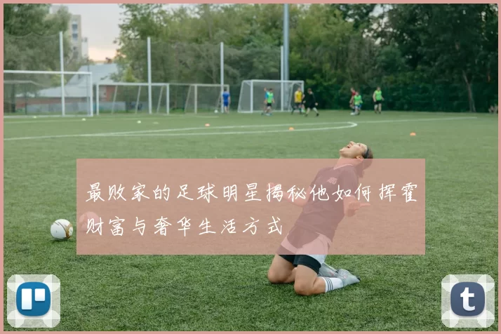 最败家的足球明星揭秘他如何挥霍财富与奢华生活方式