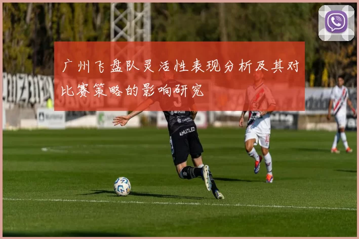 广州飞盘队灵活性表现分析及其对比赛策略的影响研究