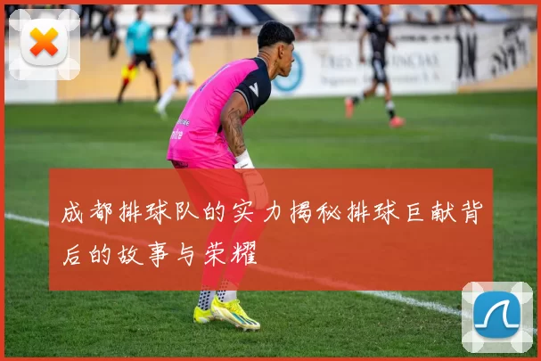 成都排球队的实力揭秘排球巨献背后的故事与荣耀