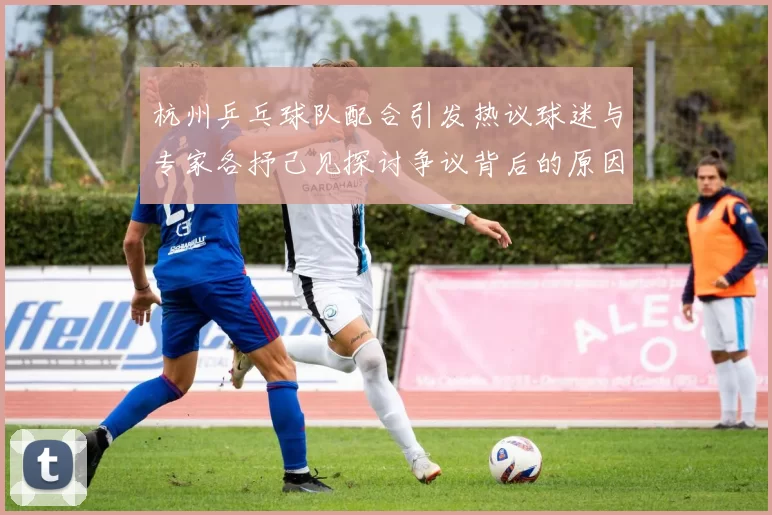 杭州乒乓球队配合引发热议球迷与专家各抒己见探讨争议背后的原因