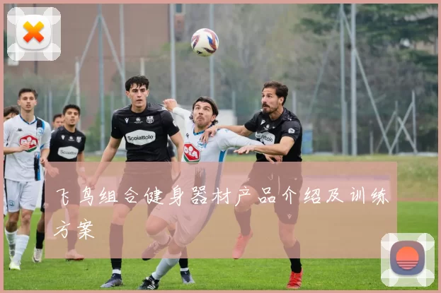 飞鸟组合健身器材产品介绍及训练方案