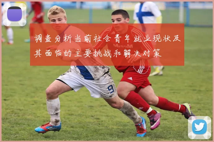 调查分析当前社会青年就业现状及其面临的主要挑战和解决对策