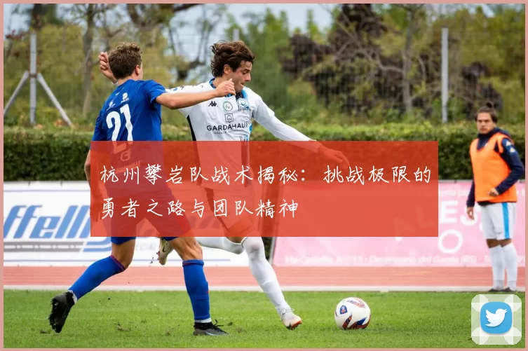 杭州攀岩队战术揭秘：挑战极限的勇者之路与团队精神