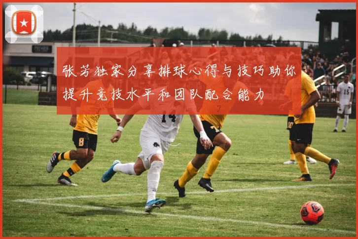 张芳独家分享排球心得与技巧助你提升竞技水平和团队配合能力