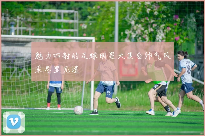 魅力四射的足球明星大集合帅气风采尽显无遗