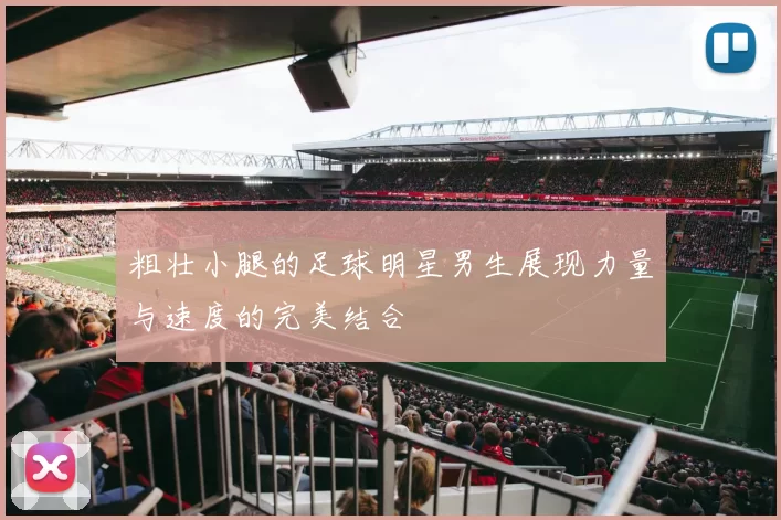 粗壮小腿的足球明星男生展现力量与速度的完美结合