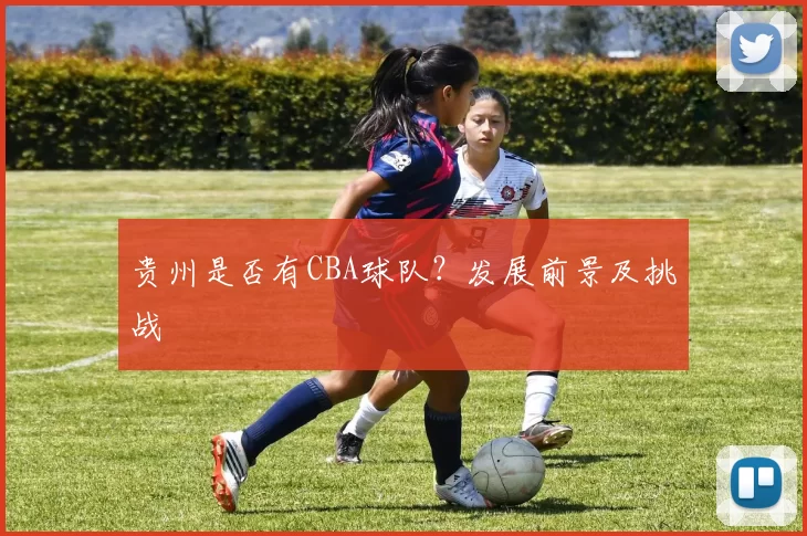 贵州是否有CBA球队？发展前景及挑战