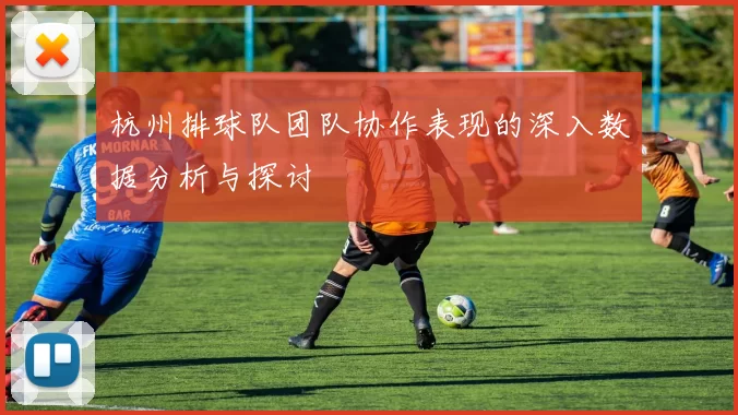 杭州排球队团队协作表现的深入数据分析与探讨