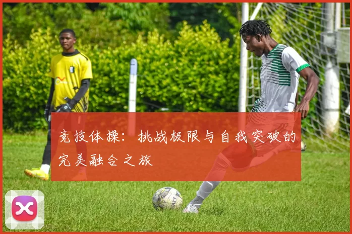 竞技体操：挑战极限与自我突破的完美融合之旅