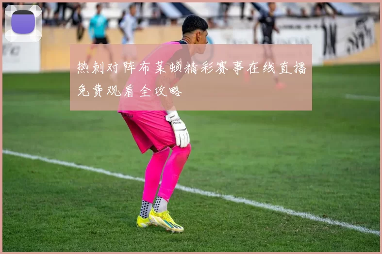 热刺对阵布莱顿精彩赛事在线直播免费观看全攻略