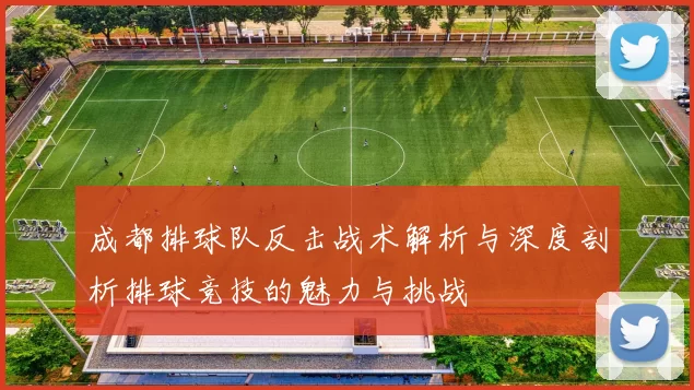 成都排球队反击战术解析与深度剖析排球竞技的魅力与挑战