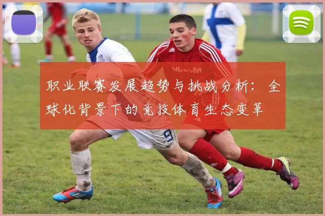 职业联赛发展趋势与挑战分析：全球化背景下的竞技体育生态变革