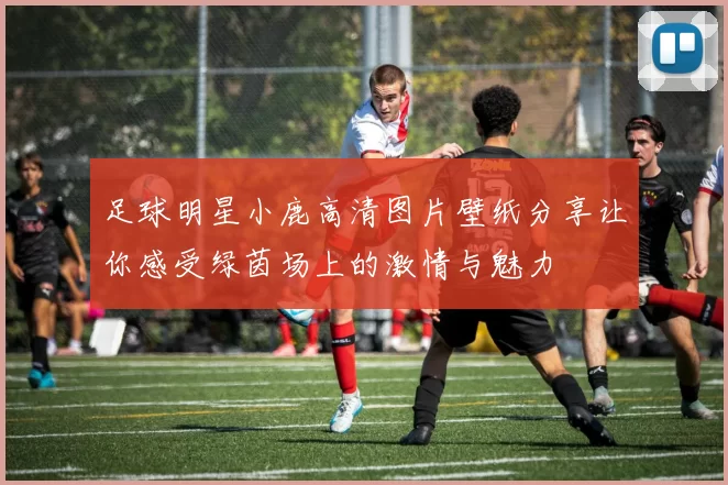 足球明星小鹿高清图片壁纸分享让你感受绿茵场上的激情与魅力