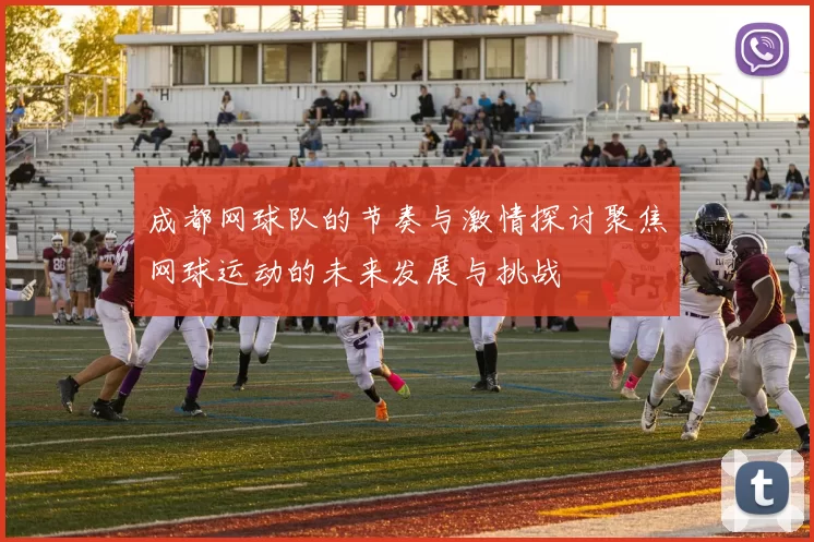 成都网球队的节奏与激情探讨聚焦网球运动的未来发展与挑战